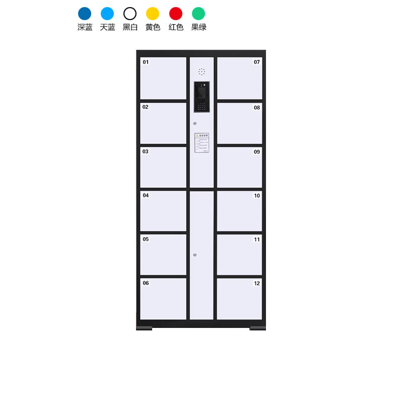 12門電子存包柜（人臉識別+編碼型）